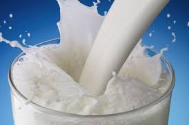Online shop selling dairy products. Spanish Products