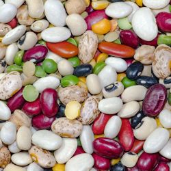 Legumes and Vegetables