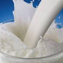 Buy Dairy Products Online at Best Price