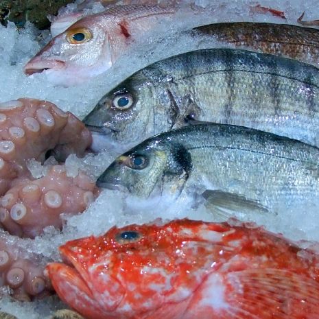 The Spaniards, the largest consumers of fish in the European Union