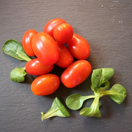Propriétés et avantages de la tomate